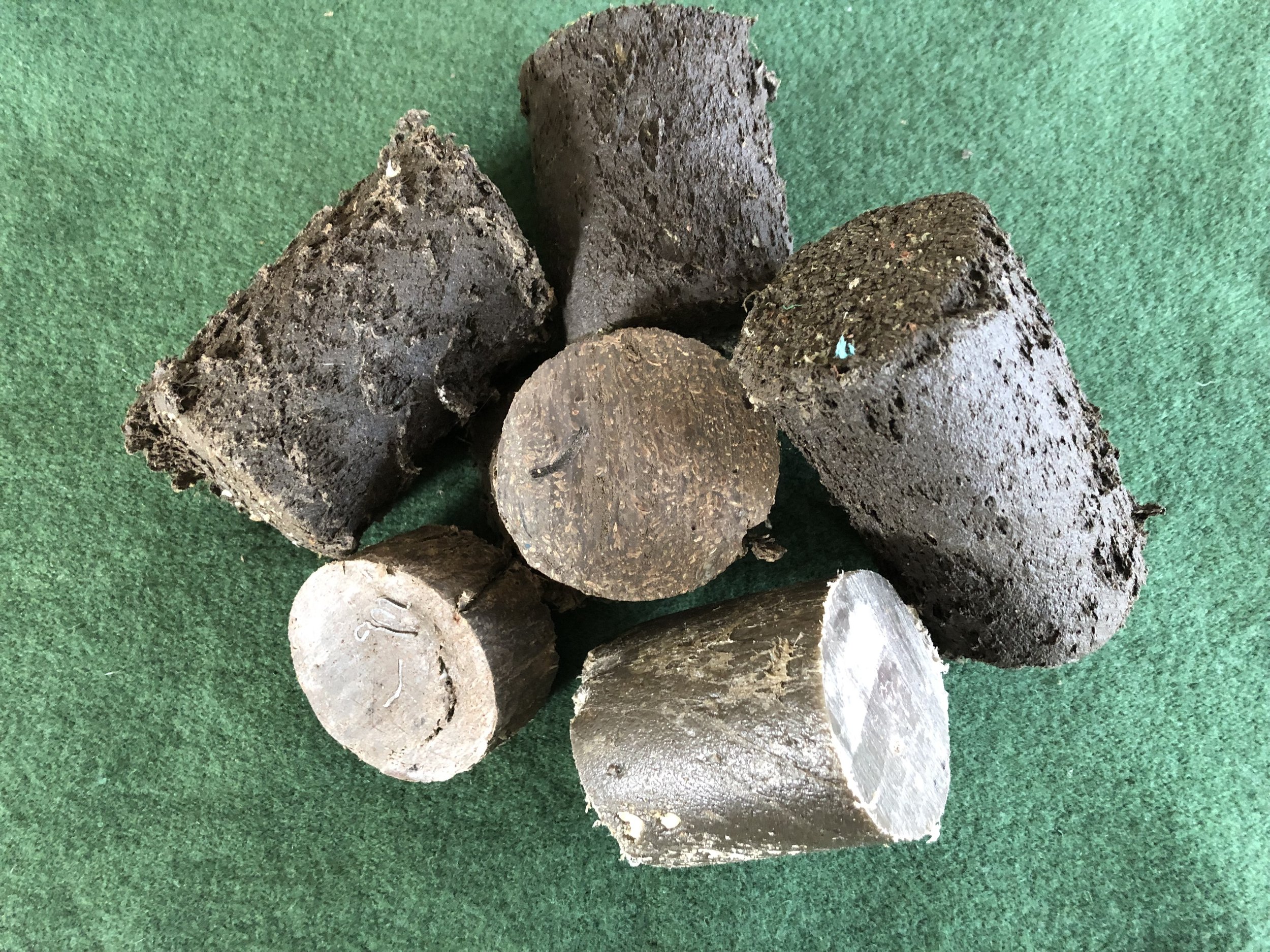 ARC SynCoal production facility