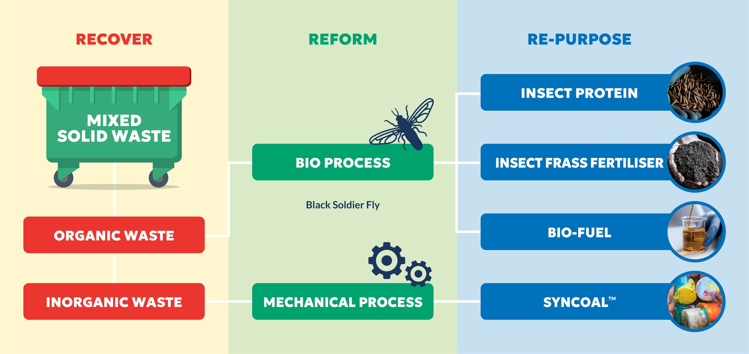 The ARC Process™ — intake to outputs flow diagram